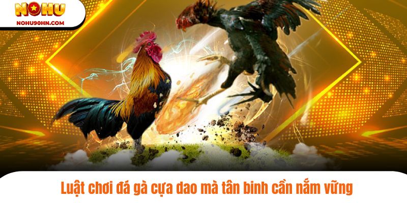 Luật chơi đá gà cựa dao mà tân binh cần nắm vững