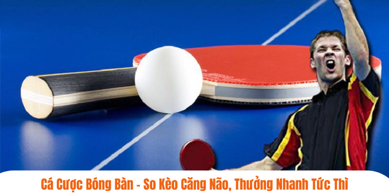 cá cược bóng bàn