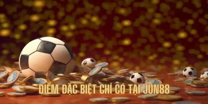 Tổng hợp những điểm đặc biệt tạo ra sức hút khó cưỡng