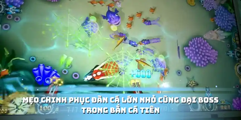 Mẹo chinh phục đàn cá lớn nhỏ cùng đại boss trong bắn cá tiên